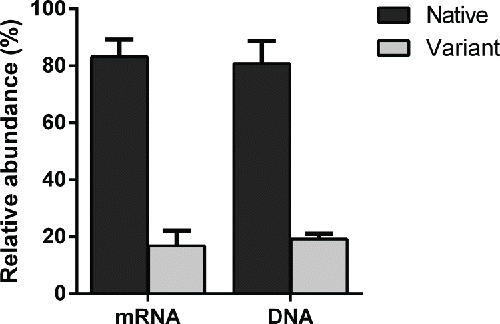 Figure 7. The relative abundance of native and variant peptide at both gene level and transcription level in clone A.