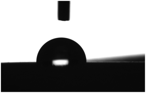 Figure 3. Replacement of 3 μl drop of distilled water on prepared dry dentin before adhesive system application.