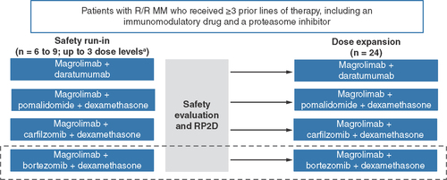 Figure 1. Study design.Magrolimab+bortezomib+dexamethasone may be initiated based on preliminary safety and efficacy data in the magrolimab+carfilzomib+dexamethasone cohort and if initiated, will require only oneprior line of therapy. aMagrolimab 1 mg/kg initial priming dose then 15–30 mg/kg.MM: Multiple myeloma; RP2D: Recommended phase II dose; R/R: Relapsed/refractory.