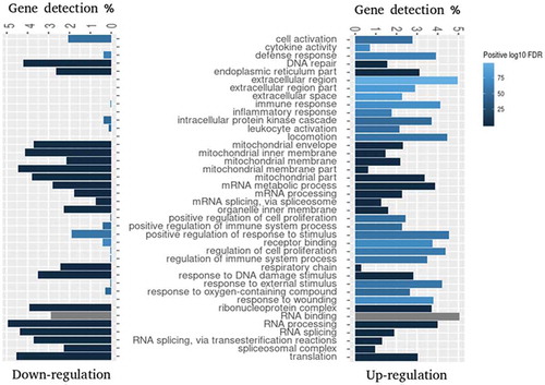 Figure 2. Gene Set Enrichment Analysis (GSEA) of GO terms enriched for differentially expressed genes 6 h pi. GSEA was applied to identify enriched GO terms within either downregulated (log2FC < 0) or upregulated (log2FC > 0) gene sets. The bars depict the percentage of DE genes associated with the specific GO term and shades of blue indicate positive log10 of FDR range. Grey bars indicate that this GO term was not significantly enriched within the corresponding gene set. Top 20 enriched gene sets were selected for visualization.