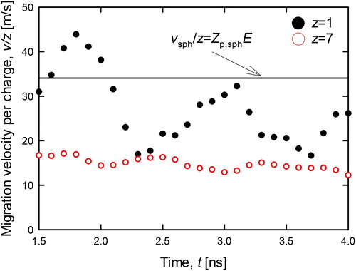 Figure 5. Migration velocity per charge number of PEG3,538 ion against time. Open/Closed symbols and solid line were represented singly/septuple charged ion and the experimental migration velocity (Ude, Fernandez de la Mora, and Thomson Citation2004), respectively. The vertical axis of the 7-charged ion was set to be 1/7 of the simulated migration velocity (velocity per charge) for comparison.