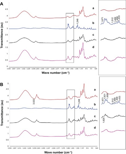 Figure 3 FTIR spectra of (A) CD (a), NC 2067 (b), physical mixture (c), and inclusion complex of NC 2067 and CD (d); and (B) CDgemini surfactant (a), NC 2067 (b), physical mixture (c), and inclusion complex of NC 2067 and CDgemini surfactant (d).Note: Expansions for the 1,720–1,380 cm−1 region are illustrated in the insets.Abbreviations: au, arbitrary units; CD, β-cyclodextrin; CDgemini surfactant, β-cyclodextrin-gemini surfactant; FTIR, Fourier-transform infrared.