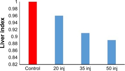 Figure 2 Change in the liver index in correlation with the number of SDNP injections.Note: The decrease in the liver index is directly proportional to the number of SDNP injections received by experimental rats.Abbreviations: SDNPs, silicon dioxide nanoparticles; inj, injections.