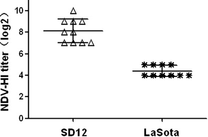 Figure 4. Sero-conversion of chickens inoculated with SD12 or LaSota strains on 21 dpi.