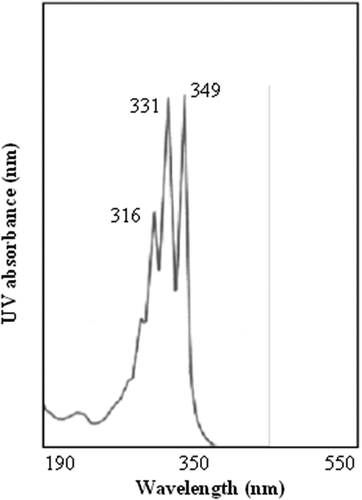 Fig. 2 UV absorption spectrum of the antifungal compound, rhizostreptin, produced by S. griseocarneus Di944. The spectrum shows three distinct absorption peaks at 349, 331 and 316 nm wavelengths that are characteristic of pentaene macrolide compounds.