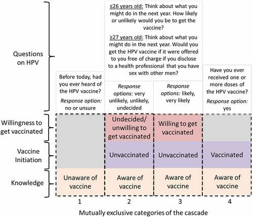 Figure 1. Mutually exclusive categories of the HPV vaccination cascade, which were broken down by vaccine knowledge, vaccine initiation, and willingness to get vaccinated. Questions used to create stages included above each stage.