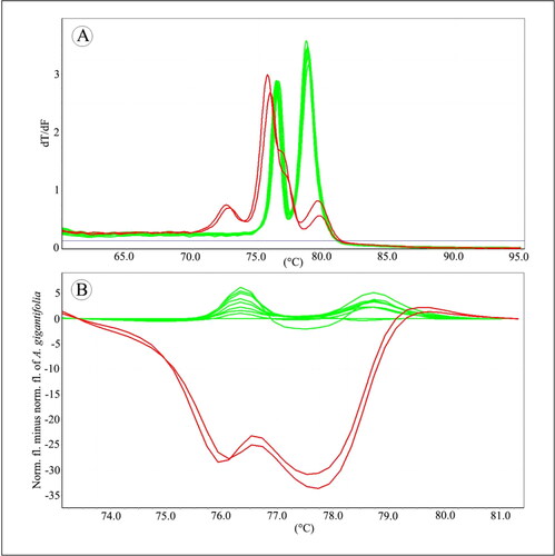 Figure 6. Melting profiles of commercial products based on psbA-trnH region. (A) Normalized fluorescence curves of high resolution melting; (B) Reference-corrected normalized fluorescence plot of HRM. Information can be accessed at https://figshare.com/s/e124acf847252f93d9b4.