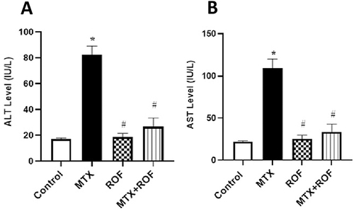 Figure 1 Effect of roflumilast (ROF) administration on methotrexate (MTX) induced increase in rat’s serum alanine transaminase serum (ALT) level and serum aspartate transaminase (AST) level (A) Alanine aminotransferase (ALT) in IU/L, (B) Aspartate transaminase (AST) levels in IU/L. Values are mean ± standard deviation (SD), n=number of rats (6 rats/group). One-way ANOVA was followed by Turkey’s multiple comparison test. *P <0.05 compared to normal control group. #P <0.05 compared to MTX group.