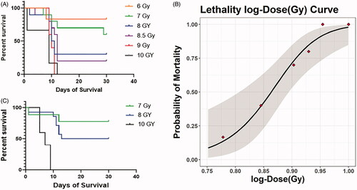 Figure 1. A Kaplan–Meier plot of radiation dose–response, study 1 of 6–10 Gy is shown in (A) and study 2 of 7–10 (Gy) in (C), with the probability of mortality vs log-radiation dose (B, 95% confidence intervals shaded grey).