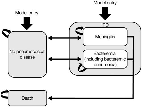 Figure 1. Markov pathway. Abbreviation: IPD, invasive pneumococcal disease.