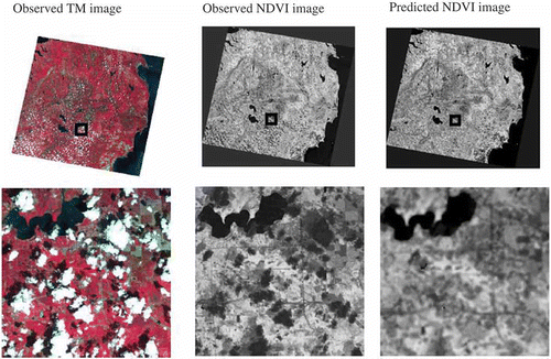 Figure 2. TM 20100525: observed versus predicted NDVI image.