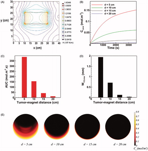 Figure 4. The effect of tumor-magnet distance on magnetically assisted IP drug delivery. (A) The gradients of magnetic field reduce rapidly by increasing the distance of tumor from the magnet. (B–D) The MDT performance parameters Ci,ave, AUC, and W1/2,max strongly deteriorate as the tumor-magnet distance increases. (E) Interstitial retarding forces dominate magnetic forces for d > 10 cm and the drug penetration region remains limited to the lower half rim of the tumor.