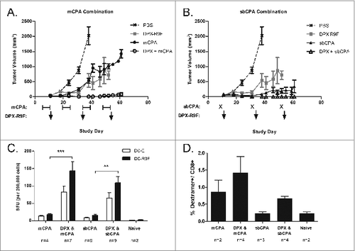 Figure 1. mCPA and sbCPA are equally effective at enhancing tumor control in combination with DPX-R9F peptide vaccine. (A and B). Mice (n = 8) were implanted with C3 tumors on day 0 and treated with 20 mg/kg/day metronomic cyclophosphamide (mCPA) orally starting on day 5 in a one week on/one week off schedule (A) or received a 100 mg/kg single bolus (sbCPA) intravenously one day preceding each vaccination (B). Vaccinations with DepoVax containing 10 μg R9F-PADRE antigen (DPX-R9F) commenced on day 12 and repeated every 3 weeks (days 33 and 54). Results are representative of 2 separate experiments. Eight days after the last vaccination (day 62), mice in remaining groups were terminated and vaccine-draining lymph nodes were collected for immune analysis by interferon γ (IFNγ) ELISPOT assay. (C) Lymph node cells were stimulated with syngeneic dendritic cells unloaded (DC-E) or loaded with R9F peptide (DC-R9F); data are pooled from 2 separate experiments. (D) Lymph node cells were also analyzed for the presence of CD8+ T cells and R9F-specific CD8+ T cells using immunostaining with fluorophore-conjugated anti-CD8 antibody and R9F-dextramer. Data are from one experiment only. Statistical analysis was performed by one-way ANOVA with Tukey's post-hoc test; **P < 0.01, ***P < 0.001.