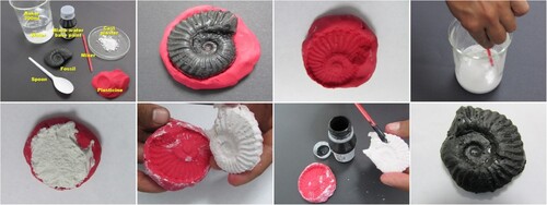 Figure 2. Preparation of the fossil replica of an ammonite.