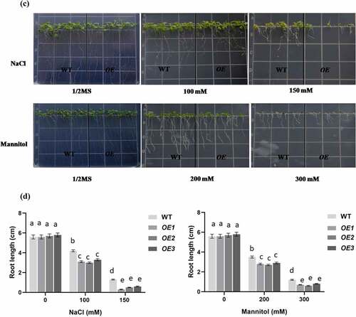 Figure 4. (continued)