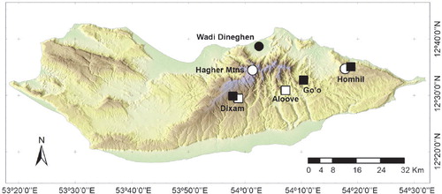 Figure 1. Distribution of Mezium erinaceus Belles (black squares), Sphaericus hirsutus Belles (black circle), Soqotranus niptoides sp. n. (white circle), and Ptinus bertranpetiti (white squares) in Socotra. The four species are Socotran endemisms.