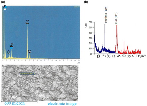 Figure 2. (a)EDS-SEM for PMM goethite showing element peaks and particle sizes. (b): X-ray diffraction of synthetic CuO–goethite showing peaks.