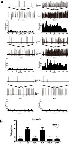 Figure 4 Base discharge rate diagram of TCC in migraine rats. (A) Basic discharge oscillogram and average of discharges per 5 s histogram for each groups. (B) Histogram for average discharges/s (Hz). #P<0.05 compares with M (C:P=0.004; EA:P=0.009; SEA:P=0.007; SNA:P=0.011); *P<0.05 compares with NA (C:P=0.007; EA:P=0.014; SEA: P=0.013; SNA: P=0.019); There was no statistical significance between groups C, EA, SEA, and SNA. There was no statistical significance between groups M and NA. N=7/group.Abbreviations: C, control group; M, model group; EA, electroacupuncture group; NA, non-acupoint electroacupuncture group; SEA, saline+electroacupuncture group; SNA, Saline+non-acupoint electroacupuncture group.