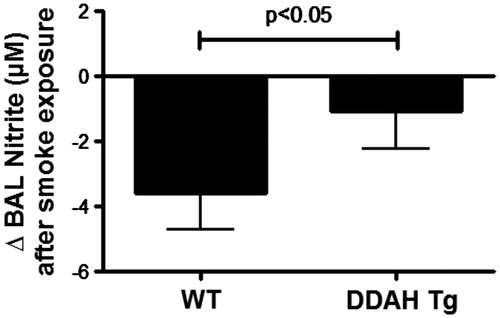 Figure 6. CS-mediated lung lavage nitrate levels in DDAH transgenic mice. Nitric oxide production was measured by nitrite formation in lung lavage fluid. Lung lavage (BAL) of wild-type (WT, n = 9–15) and hDDAh transgenic mice (DDAH Tg, n = 9) was assayed for total nitrite content following cigarette smoke exposure for 4 weeks. The cigarette smoke-induced decrease in nitrite levels was significantly less in DDAH Tg mice compared to WT mice. Data shown are means ± SE. *p < 0.05 DDAH Tg vs WT control.