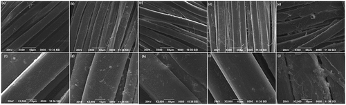 Figure 1. SEM images of 500X of a) RM, b) WWM, c) KWM, d) CWM, e) DWM and 2000X of f) RM, g) WWM, h) KWM, i) CWM, j) DWM.