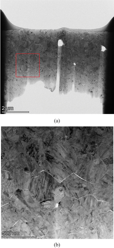 Figure 10. (a) Thin section taken from the surface region of Y-TZP specimen after hydrothermal treatment for 24 h. (b) TEM micrograph in the surface region as indicated with a square in (a).