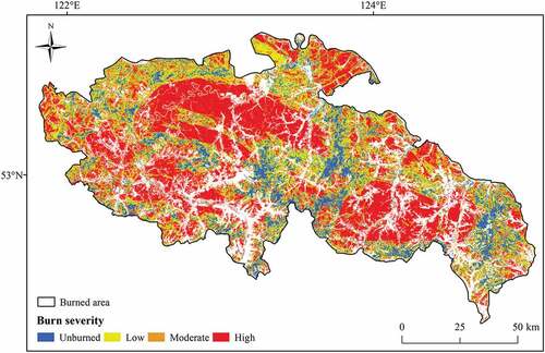 Figure 2. Burn severity of 5.6 Fire in the northernmost part of the Greater Hinggan Mountain area in China.