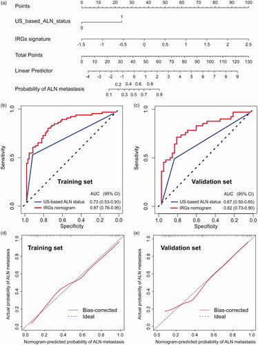 Figure 5. The IRGs nomogram for ALN metastasis prediction in patients with TNBC. (a) IRGs nomogram was constructed to preoperatively predict ALN metastasis, with the US-based ALN status and IRGs signature incorporated. Plots (b) and (c) show the ROC curves of the IRGs nomogram in the training and validation cohort, respectively. Calibration curve for clinical-immune signature in (d) training cohort and (e) validation cohort. The 45-degree solid dotted black line represents a perfect prediction, and the red solid line represents the predictive performance of the nomogram, of which a closer fit to the dashed line indicates means a better prediction accuracy for the model.