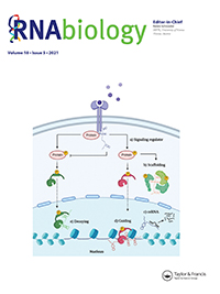 Cover image for RNA Biology, Volume 18, Issue 5, 2021