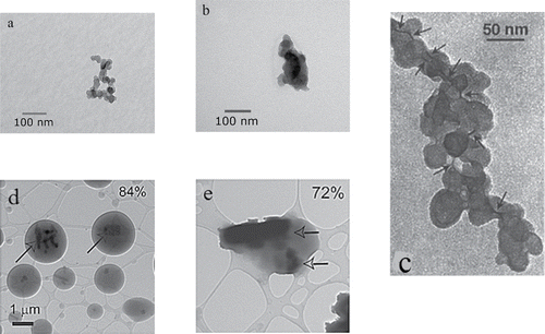 Figure 3. TEM images of changes in morphology: (a) fresh soot; (b) coated soot (Qiu et al. Citation2012); (c) a typical chain-like soot aggregate; the arrows point to a carbon film that connects individual spherules within the aggregate (Pósfai et al. Citation1999); (d) particles containing KCl and K2SO4, whose emissions from biomass-burning take up water at 83% (Freney et al. Citation2010); (e) particles collected from an inland area and exposed to humidity (Freney et al. Citation2010).