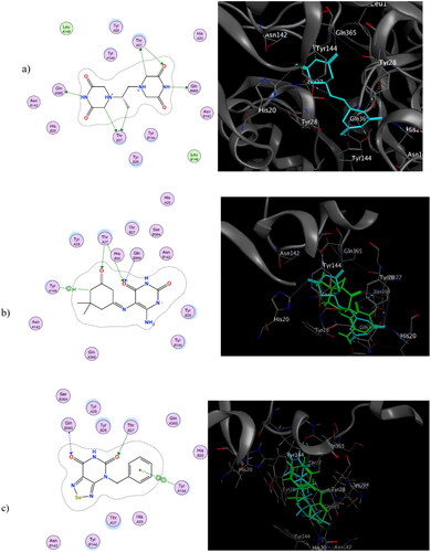 Figure 6. 2D & 3D representation of dexrazoxane (a), 2D representation of 3a & 3D representation of overlay view of 3a and dexrazoxane (b), 2D representation of 5d & 3D representation of overlay view of 5d and dexrazoxane (c) at the binding site of Topoisomerase II (1QZR).