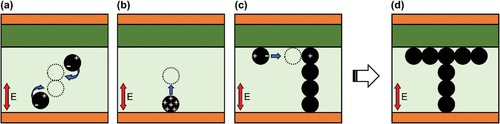 Figure 9. Mechanism for the formation of 3D-T CIPs can be considered as a combination of three actions: (a) self-assembly along the vertical direction, (b) charge and aggregate on the top surface, and (c) self-assembly along the horizontal direction. (d) The resulting T-shaped structure.
