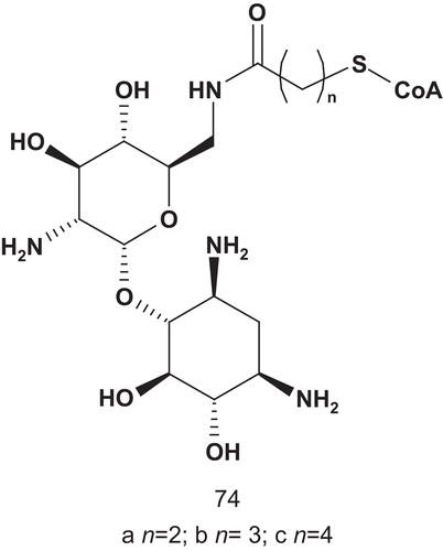 Scheme 38.  Bisubstrate analogs for aminoglycoside 6′-N-acetyltransferases (2).