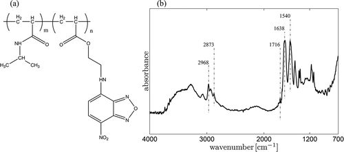 Figure 1. (a) Structure of the NBD-AE-co-PNIPAAm polymer (m = 157, n = 1). (b) Infrared absorption spectrum of the NBD-AE-co-PNIPAAm polymer.
