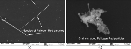 FIG. 8 Comparison of shape and size of generated Paliogen Red particles on the influence of cooled backflow. (a) Long needles of Paliogen Red without cooled backflow. (b) Grainy-shaped Paliogen Red particles with cooled backflow.