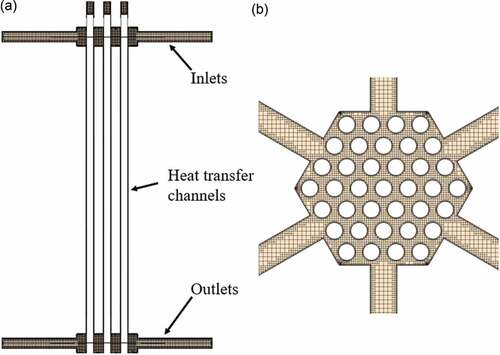 Fig. 17. (a) Cross-sectional view and (b) top view of meshed CFD model.