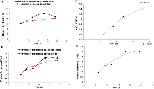 Figure 2. (A) Comparative graph showing experimental and predicted values of biomass formation of G. icigianus (B) Plot ln(X) vs. t showing variation of biomass formation in batch culture during the exponential phase of bacterial growth curve (C) Comparative graph showing experimental and predicted values of product formation (amylase activity) by G. icigianus (D) Regression analysis for product formation at t = 0, i.e. beginning of exponential phase