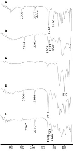 Figure 4 Comparative FTIR spectra of DTXL (A), chitosan (B), STPP (C), physical mixture (D) and formulation CNP3 (E).