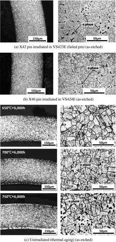 Figure 11 Optical micrographs of modified 316 stainless steel temperature monitors
