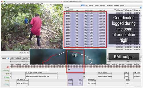 Figure 4. Selection and georeferencing of an ELAN annotation of a continuous Jahai motion event. The corresponding coordinates are illustrated as a section of a track in Google Earth. The coordinate values have been obscured for privacy. (Google, CNES/Airbus)