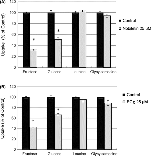 Figure 3. Effect of nobiletin and ECg on the uptake activity of nutrient transporters in Caco-2 cells. The uptake of fructose, glucose, L-leucine, and Gly-Sar was measured in the absence or presence of 25 μM nobiletin (A) or ECg (B) at 37 °C for 10 min. The values shown are means ± SEM (n = 3); *p < 0.01 vs. the control value (Student’s t -test).