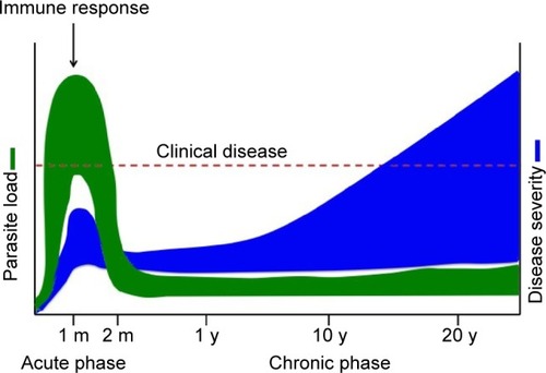 Figure 1 Chagas disease progression.