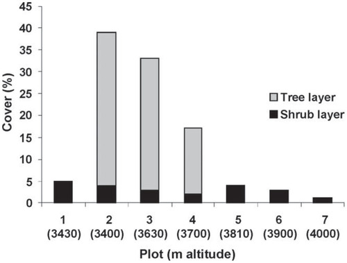 FIGURE 4. Cover of tree layer and shrub layer (%) for the seven plots along an altitudinal transect between 3400 and 4000 m a.s.l. in an undisturbed treeline ecotone in Parque Nacional Llanganates.