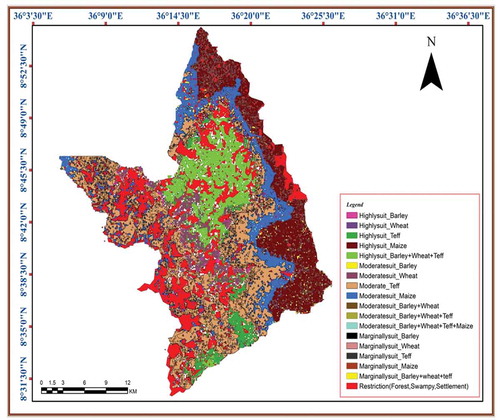 Figure 4. Map of optimum land suitability allocation for major cereal crops in Dabo Hana district.