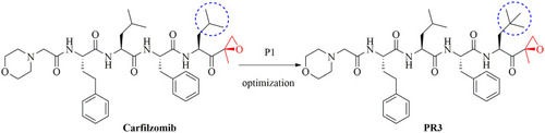 Figure 4 Structures of Carfilzomib and its derivative PR3.