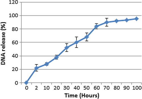 Figure 5. In vitro release of pDNA from chitosan nanoparticles in PBS (PH 7.4). At each marked time point, the mixture was centrifuged at 14,000 g for 30 min and DNA content in the supernatant was measured spectrophotometrically at 260 nm (Mean ± S.D, n = 3).