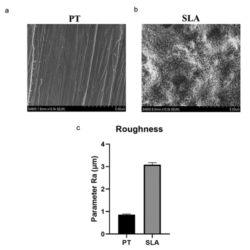 Figure 1. The surface characterization of different titanium. The SEM picture of PT group (a) and SLA group (b), and the mean values of the different titanium surfaces (c)