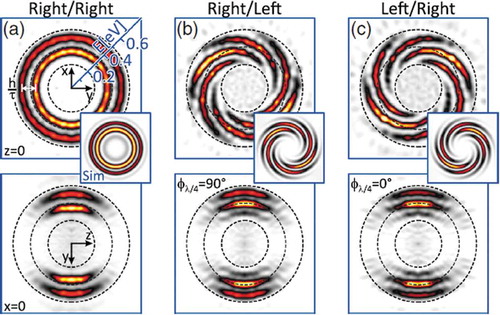 Figure 11. Sections through the reconstructed 3D electron distribution (ED) for (a) right-handed circularly polarized pulse, followed by the second right-handed circularly polarized pulse (RRCP), (b) right-handed circularly polarized pulse, followed by the second left-handed circularly polarized pulse (RLCP), and (c) left-handed circularly polarized pulse, followed by the second right-handed circularly polarized pulse (LRCP). Upper row: sections in the polarization plane at z = 0 compared to simulation results shown in the insets. Lower row: sections in the detector plane at x = 0. counter-rotating circularity pulse pairs generate vortex shaped EDs in contrast to RRCP pulse pairs, which create circularly symmetric EDs. (Ref.138) [Citation138]