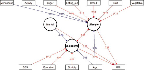 Figure 1. Structural equation model (SEM) of interaction between sociodemographic and lifestyle factors and BMI in women. Latent variables are drawn as circles. Manifest or measured variables are shown as squares. Numbers refer to interactions (correlations) between an indicator and its factor. The blue lines indicate negative interactions and the in red lines indicate positive interactions. All interactions represented in the figure are significant. The variables were tested as both latent and manifest variables and only the most significant interactions were reported in the study.