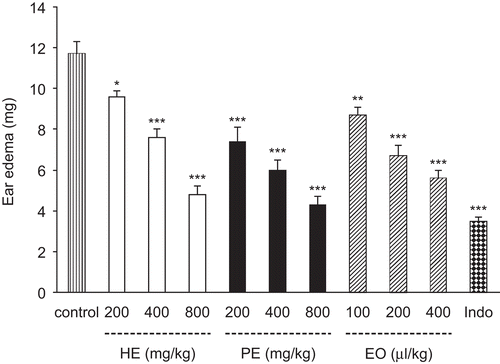 Figure 1.  Effect of Bunium persicum extracts and essential oil on croton oil-induced ear edema in mice. Vehicle, extracts, essential oil or indomethacin (10 mg/kg) were administered 30 or 45 min prior to croton oil application (100 μg/ear). Essential oil was given orally and other treatments were i.p. Data are mean ± SEM of edema. *P <0.05; **P <0.01; ***P <0.001 compared with control group. HE, hydroalcoholic extract; PE, polyphenolic extract; EO, essential oil; Indo, indomethacin.