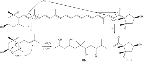 FIGURE 6 Possible mechanism of capsanthin fading after H2O2 treatment.